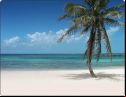 Beaches 