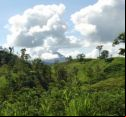 Costa Rican countryside