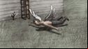 IA_04